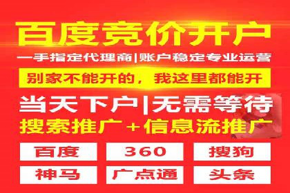 SEM代运营托管公司成功案例：提升转化率的关键策略